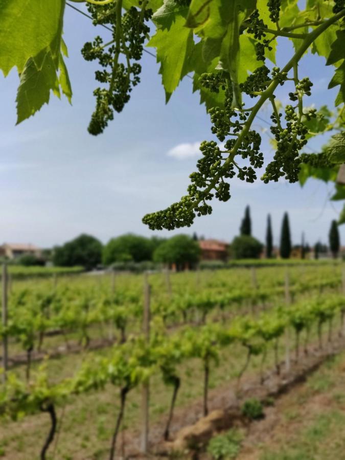 Agriturismo La Vigna Кола Экстерьер фото